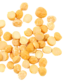 Foodking - Fast Food Restaurant WordPress Theme